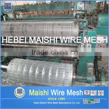 Welded Wire Mesh - Galvanized After Welded photo-2