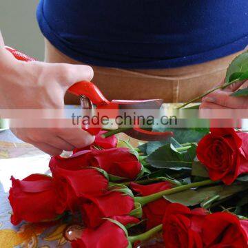 Superior All Season Bypass Pruning Shears Garden Tool From New-hero Gardens - High Carbon Steel for Durability, Sharpness, and E photo-2