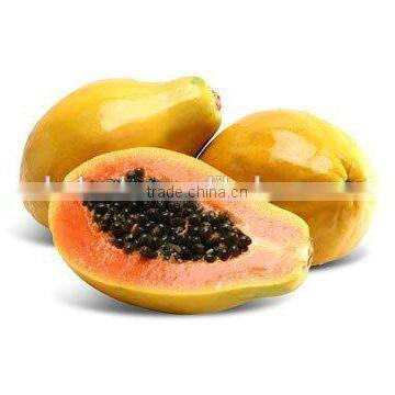 Papaya/pawpaw Multiple Layer Continuous Type Mesh Belt Dryer photo-6