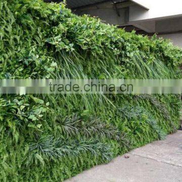 Anti uv Hotsale Home Decor Fake Green Wall for Indoor and Outdoor Decor photo-4