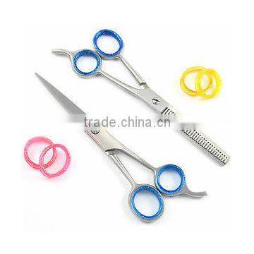 Professional Hairdressing Scissors