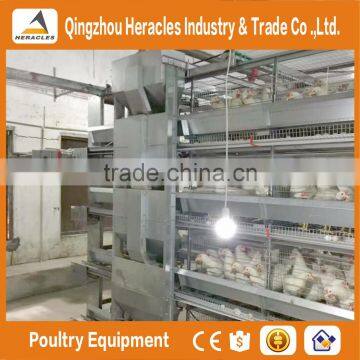 Best Quality Automatic Cage Chicken-poultry Breeding Equipment of H Type 4 or 5 Tiers photo-3