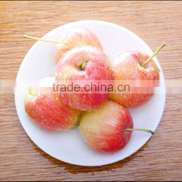 Chinese crisp and sweet red fuji apples very popular