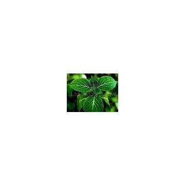 Yohimbine extract