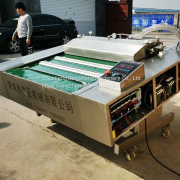 Double Chamber Vacuum Packing Machine For Food Meat Fish