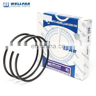 DT NGD Wellfar High Performance Engine piston rings For Navistar Truck