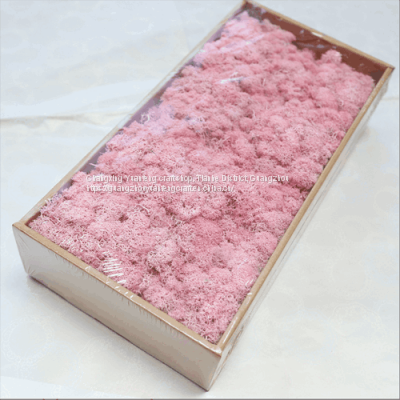 High Quality 500g Preserved Moss In Box For Home Decoration
