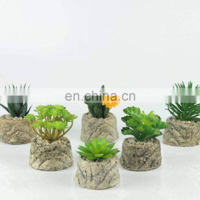 Hot Sale Korean Cactus Potted Suculentas Planta Mini Vaso Suculenta Plantas Artificiales Para Apared Succulent Plants With Pot