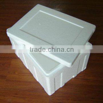 CE&ISO STANDRAD EPS Fish Box Making Machine photo-6