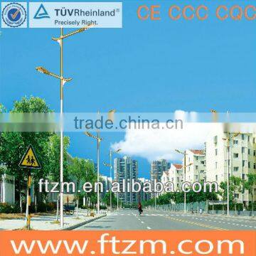 induction lamp street light