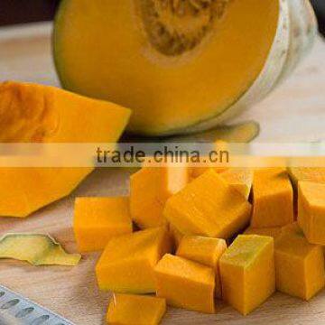 FRESH PUMPKIN HIGH QUALITY - CHEAP PRICE