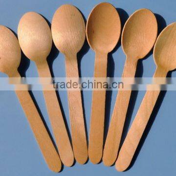 Disposable Wooden Spoon