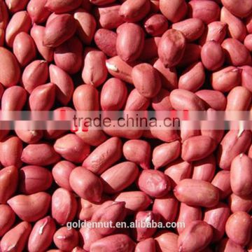 Chinese Shandong red skin peanuts 50/60 FOR MACEDONIA /ALBANIA/NETHERLAND/TUNISIA/morocco/spain