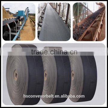 Nylon Conveyor Belt for Conveying Wood Bark photo-5