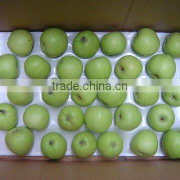 fresh green apple(early crop)