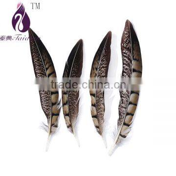 pheasant feathers for clothing/wedding decoration,stage bulk feathers