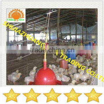 HDPE plastic poultry layer chicken netting fence