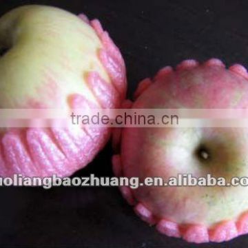 EPE lotus Petal for apple