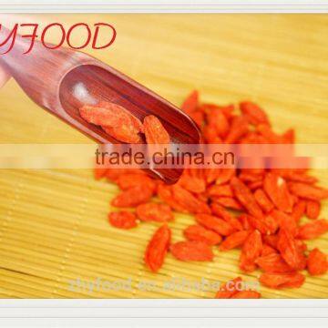 Organic Dried Goji Berry certificated health food pesticied free