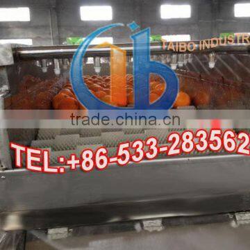 High Performance Automatic Industrial Fruit Washing Machine photo-4