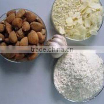 garlic powder from China base