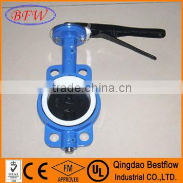 Butterfly Valve with Soft Seat