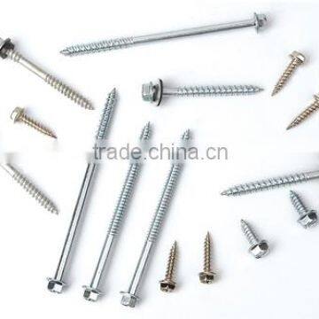 Fastener Hex Flange Head Self Tapping Roofing Screw photo-6