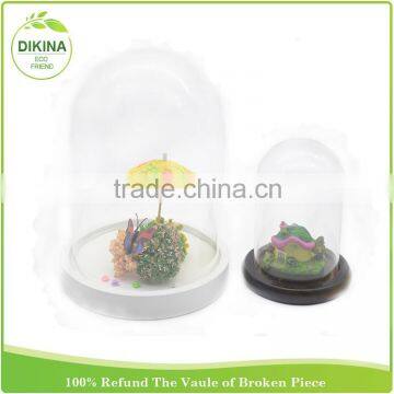 bulk buy from china butterfly , tillandsia plants , miniature fairy garden in 30cm Dome Clear Figurine Display glass cloche