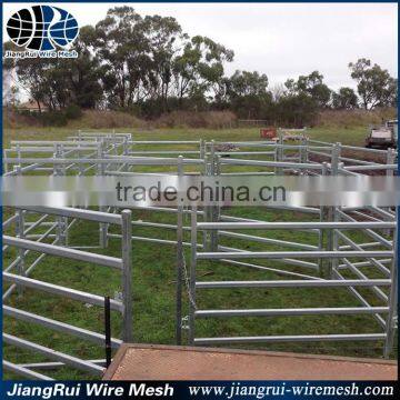 Professional Supplier of Cattle Panel photo-4