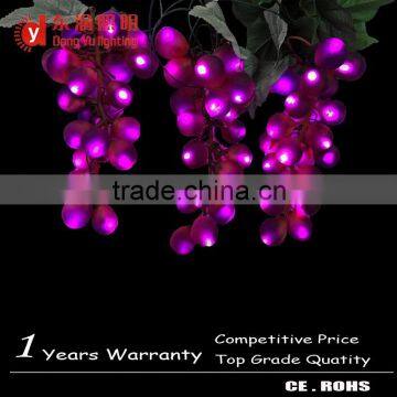 2015 style grape CE ROHS certificated new designed popular ball led decorate light led home decoration light