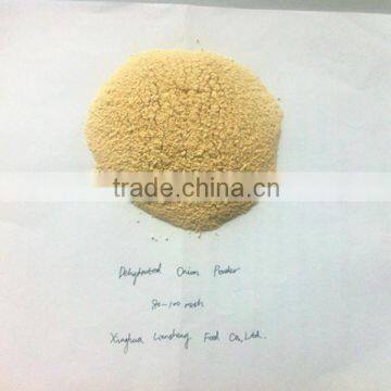 dehydrated onion powder factory