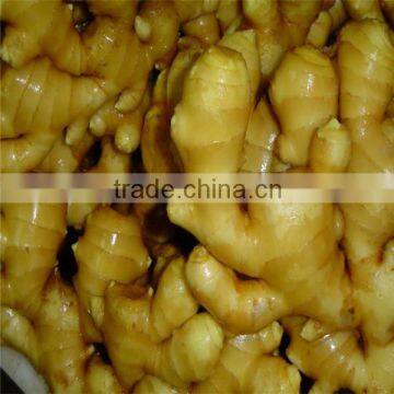 Chinese fat mature ginger supplier