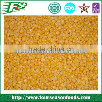 Best price of IQF/frozen sweet corn kernel in 2015 new crop