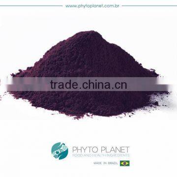 ACAI EXTRACT POWDER 4:1