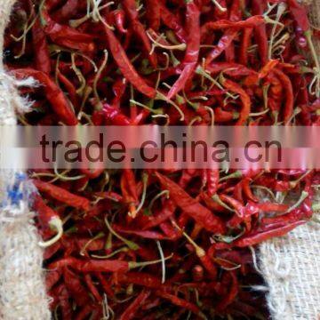 Red Chilli photo-2