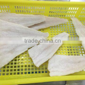 Frozen alaska pollock fish fillet for thailand from china seafood exporter