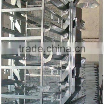 Animal feed cutting machine for chicken equipment