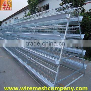 Electric Wire Mesh Type and Chicken Use layer chicken cage