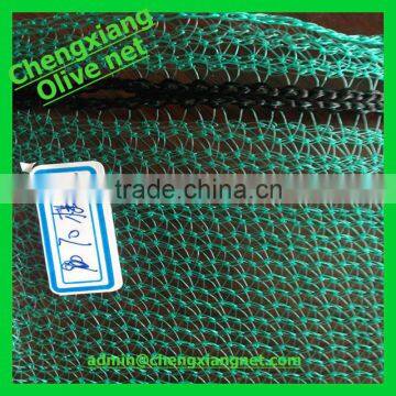 Olive Net