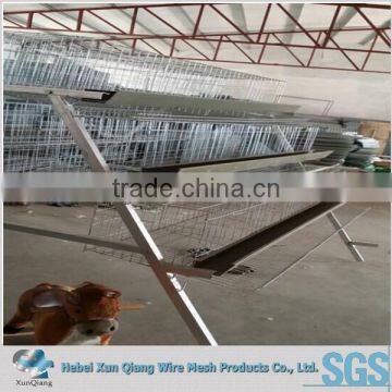 H Type 120 Layers Chicken Cage Laying Hens photo-2