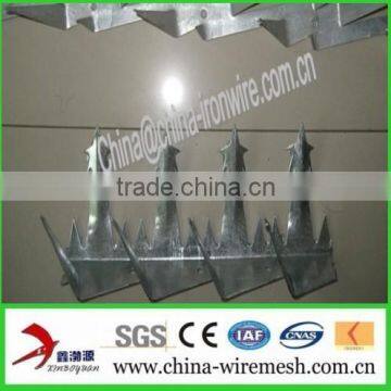 Galvanized Steel Wall Spikes / Anti-climb Spikes/ Security Spikes (factory ) photo-3