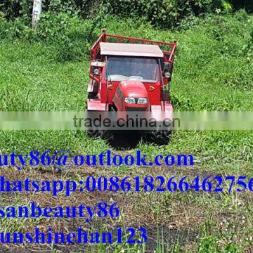 customized 4 WD wheel palm tipping truck in stock