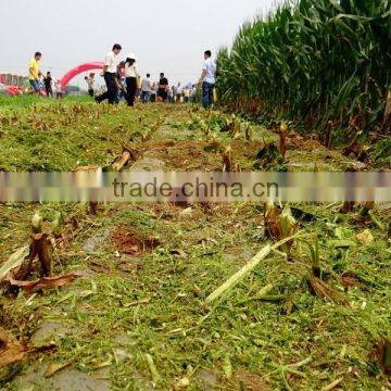 Boyo 4 Rows 4YZ-4C Corn Harvester With Silage System photo-2