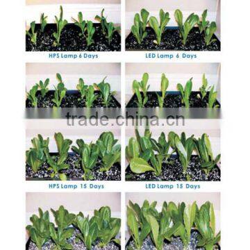 Upgrade and Newly Developed UFO LED Grow Light Full Spectrum 2nd Generation Series 300w Plants Light photo-4