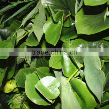 stickers home garden deco 200*200 cm indoor or outdoor artificial corner succulent green climbing plant wall Ezwq10 108