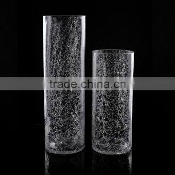 High Quality Fashionable Glass Vase for Flower / Clean Glass Vase / Glass Vase photo-5