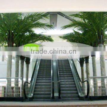 GNW APM033 Decorative Artificial Palm Tree 13ft High Indoor Outdoor Decoration Use For Sale photo-5