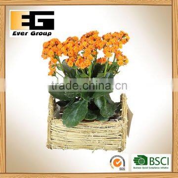 Popular Nature Rattan Garden Flower Pots photo-6