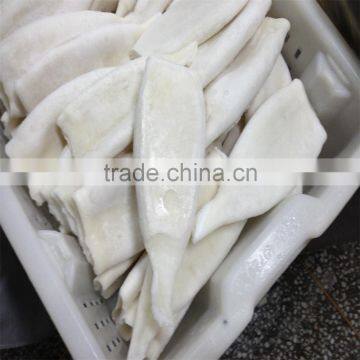 Interleaved Pacific Squid Tube (Todarodes Pacificus) photo-3