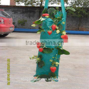 Cheap Eco-friendly Indoor Plastic Hanging Planting Bags photo-2